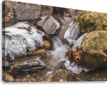 Winter Solace 15 Canvas Print
