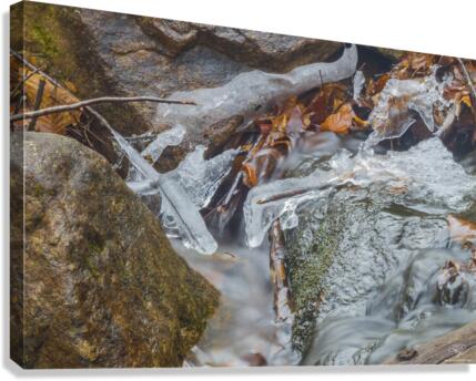 Ice Dance Canvas Print