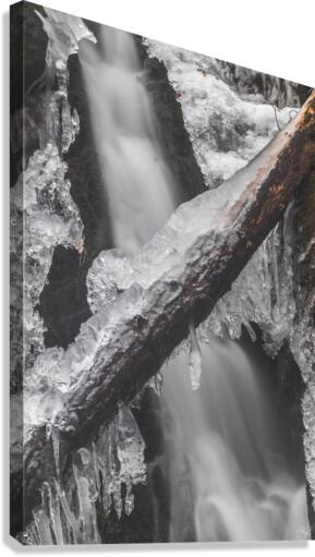 Winter Solace 9 Canvas Print