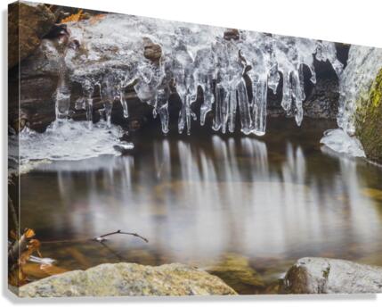 Winter Solace 12 Canvas Print