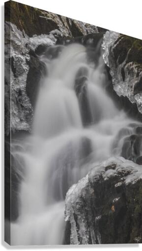 Winter Solace 6 Canvas Print