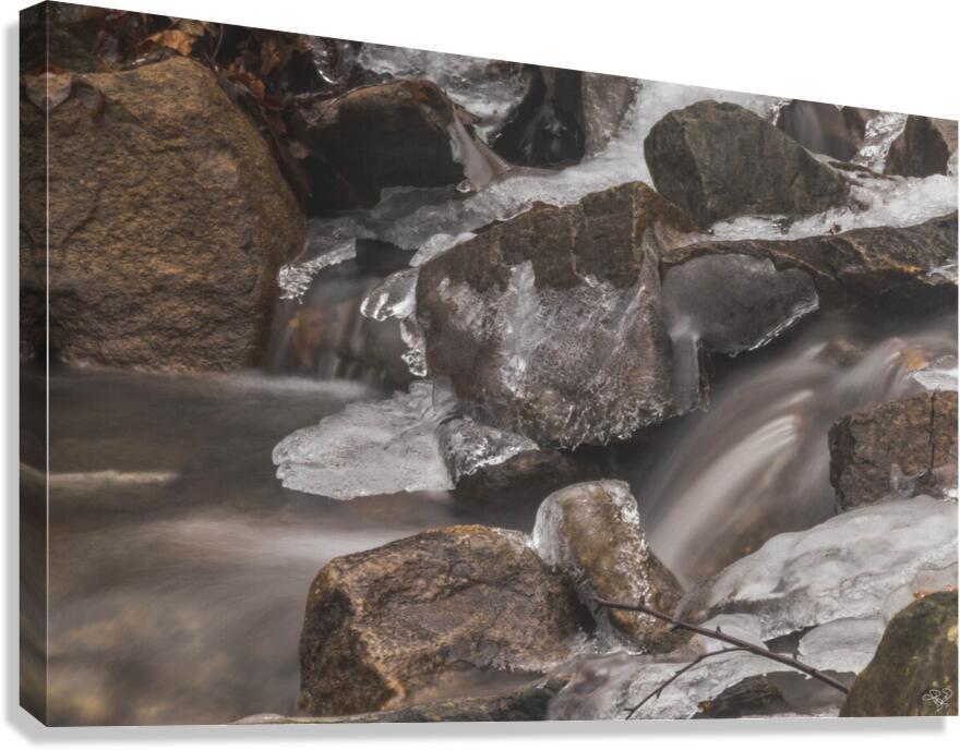 Winter Solace 3 Canvas Print