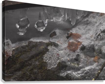 Winter Solace 4 Canvas Print