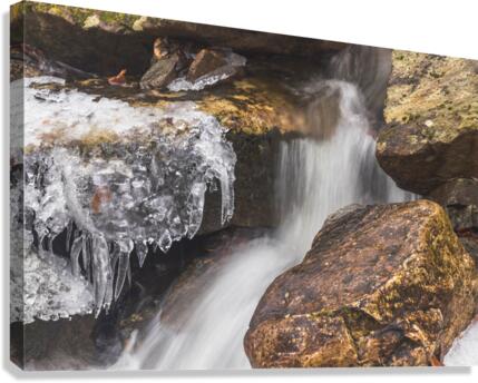 Winter Solace 14 Canvas Print