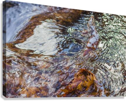 Winter Solace 18 Canvas Print