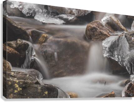 Winter Solace 1 Canvas Print