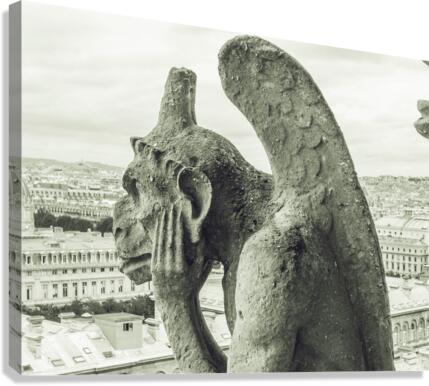 Contemplating V Canvas Print
