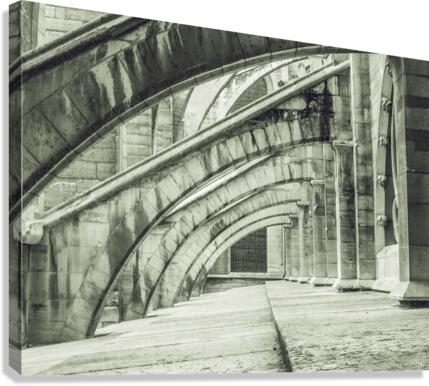Buttresses V Canvas Print