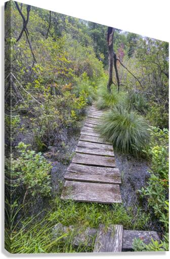 Happy Trails Canvas Print