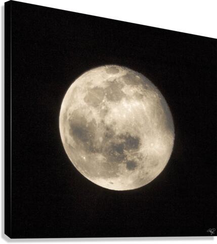 Wolf Moon Canvas Print