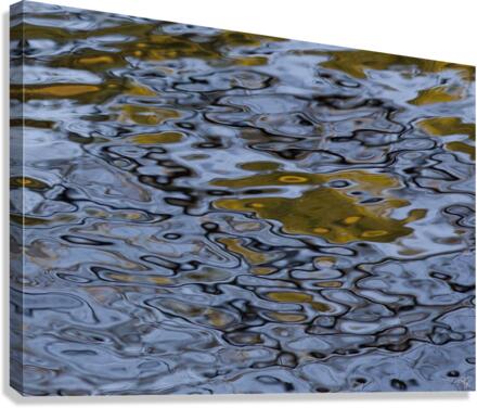 River Reflections Canvas Print