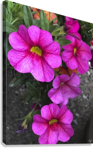 Spring Portrait Canvas Print