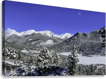 Snowscape Canvas Print