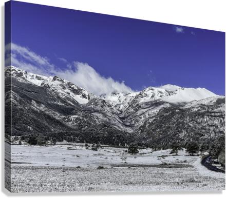 Mountain Meadows Canvas Print