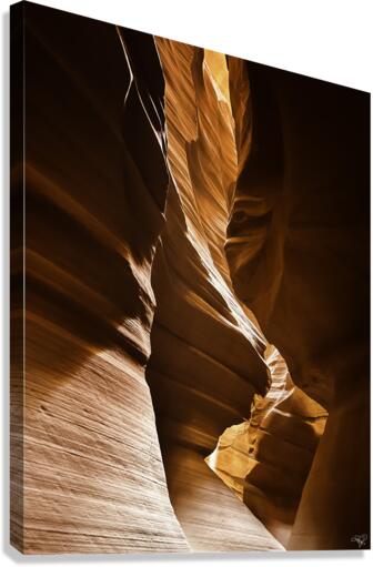 Antelope Contours Canvas Print