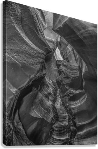 Column Cavalcade BW Canvas Print