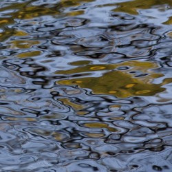 River Reflections
