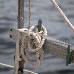 Safety Knots
