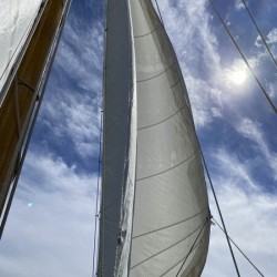 Salt and Sail