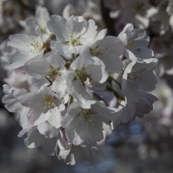 Spring has Sprung