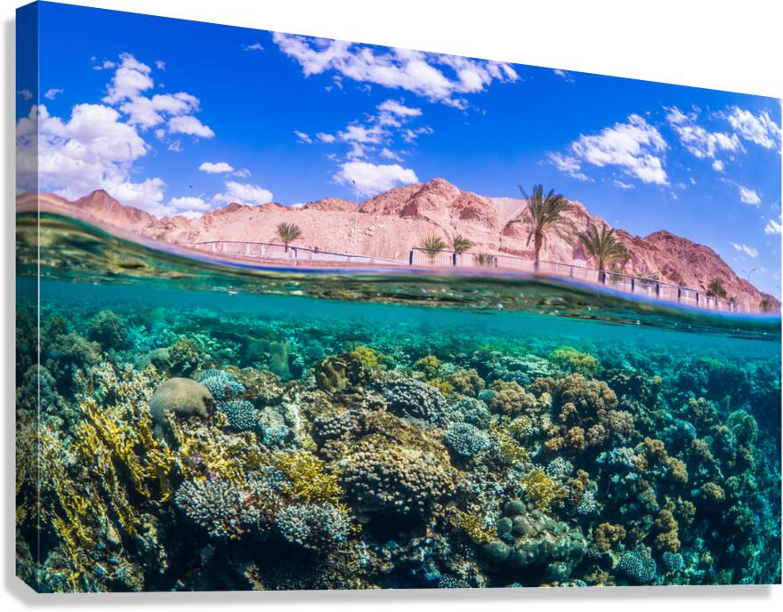 Aqaba coast split shot Canvas Print