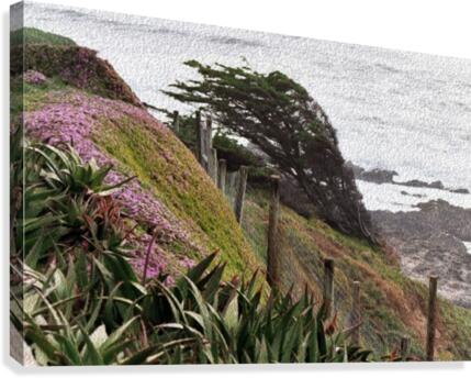 Nature Creates Canvas Print