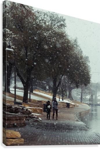 Through The Park Canvas Print