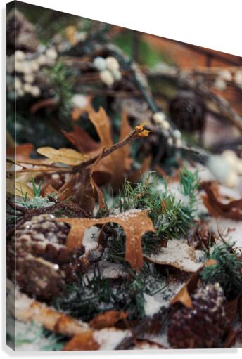 Festive Background Canvas Print