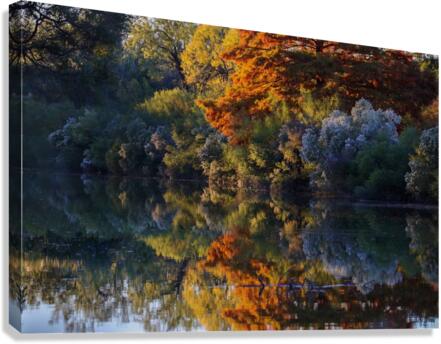 Mirrored Reflection Canvas Print