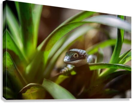 19 Canvas Print