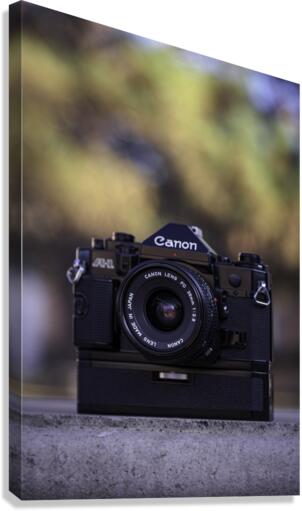 140 Canvas Print