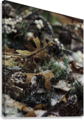 65 Canvas Print
