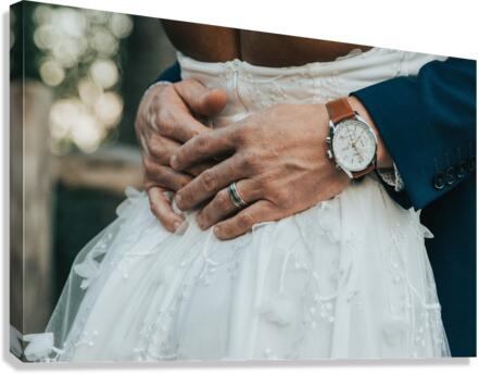 406 Canvas Print