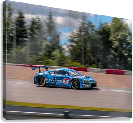 3048 Canvas Print