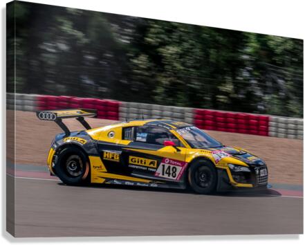 2836 Canvas Print