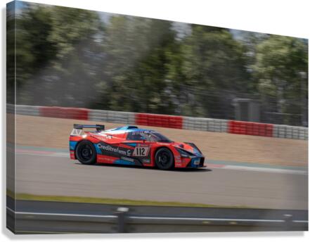 229 Canvas Print