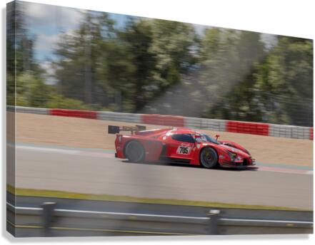 228 Canvas Print