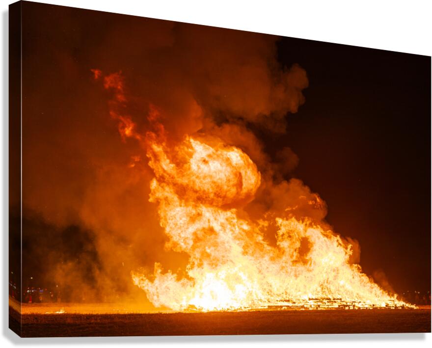 1209 Canvas Print