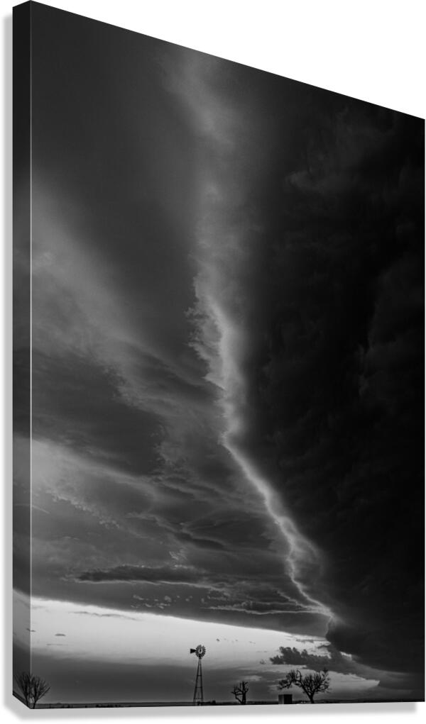 0316 Canvas Print