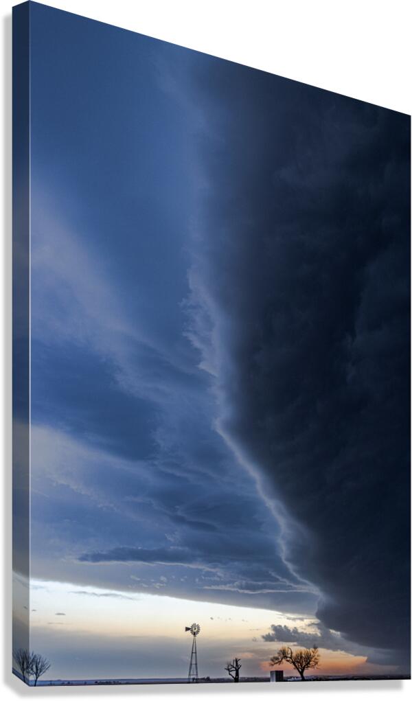0316 Canvas Print