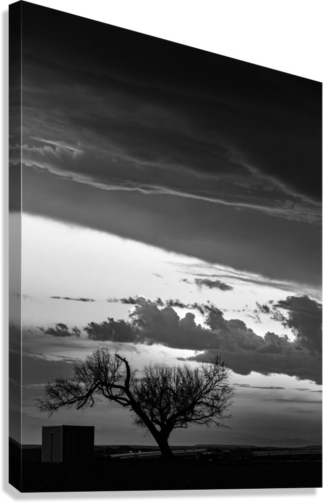0189 Canvas Print
