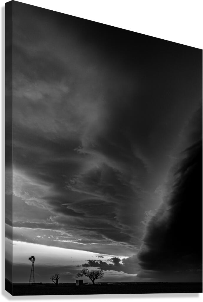 0194 Canvas Print