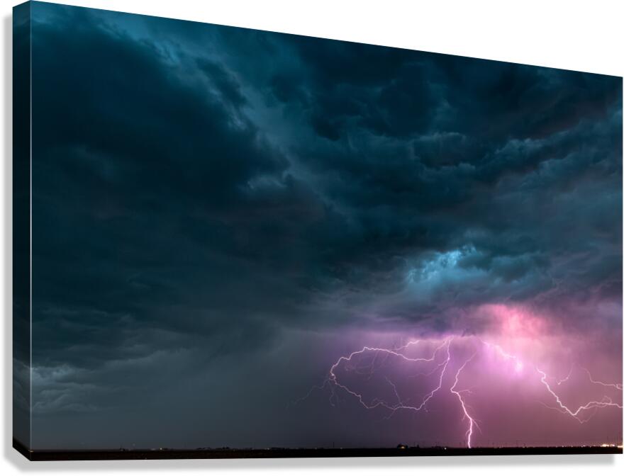0499 Canvas Print