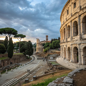                       Timeless Majesty of the Colosseum         4