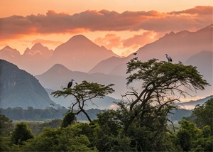  Sunset Over Misty Mountains and Wildlife o