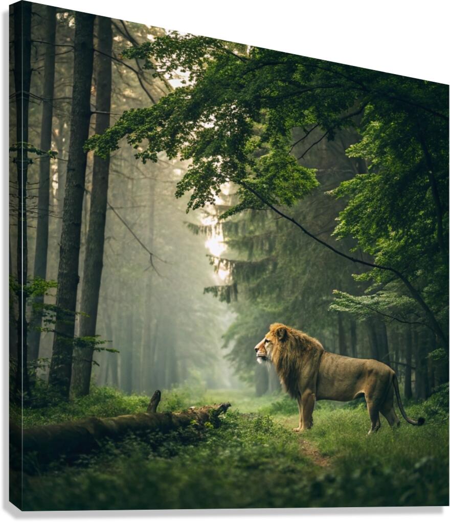               3Majestic Lion in the Enchanted Forest Canvas Print