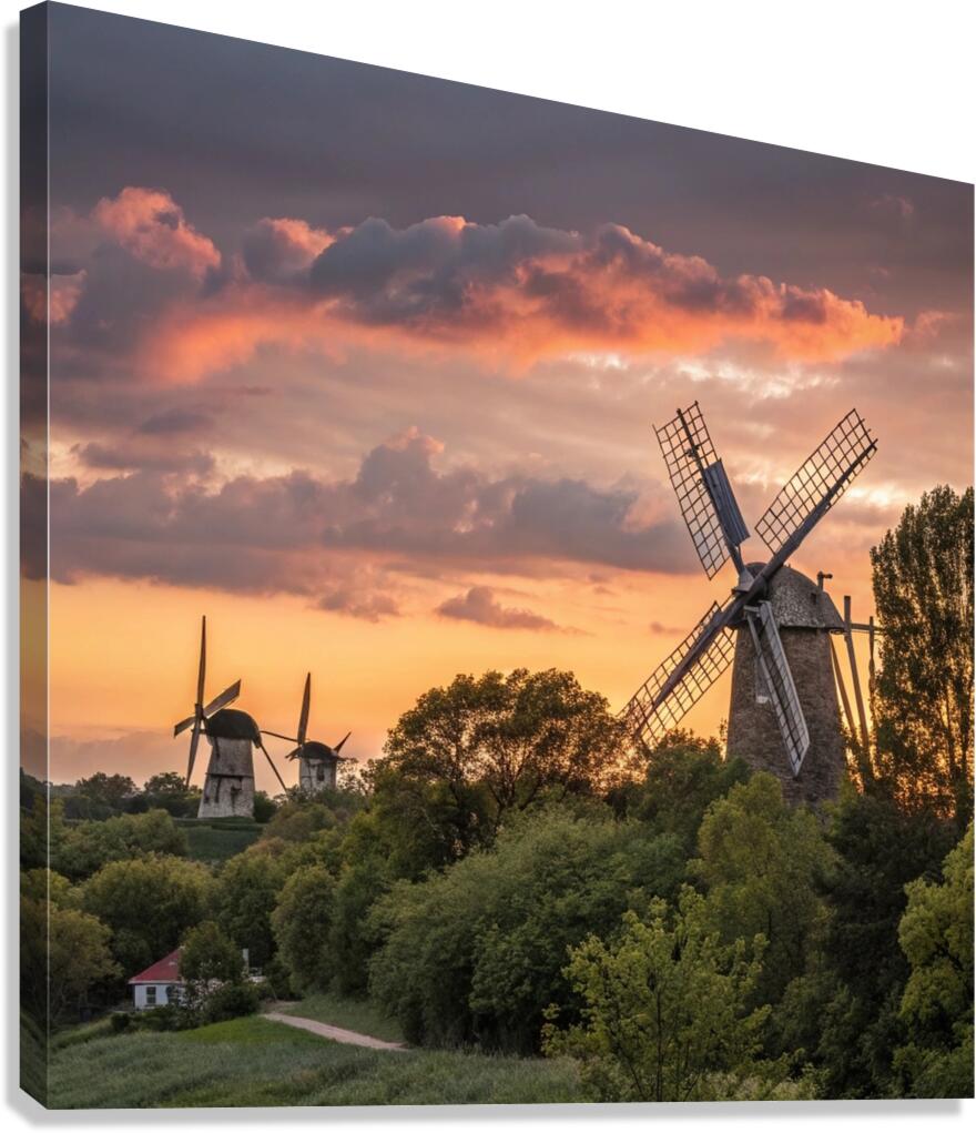 Whispers of the Wind Canvas Print