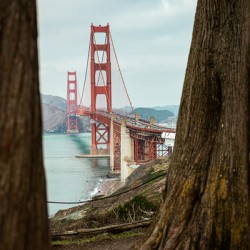 Golden Gate