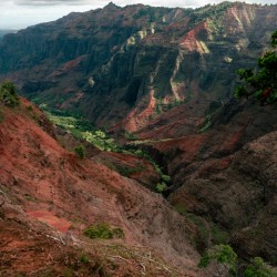 Waimea Canyon