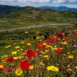 IMG 20241024 080850 738